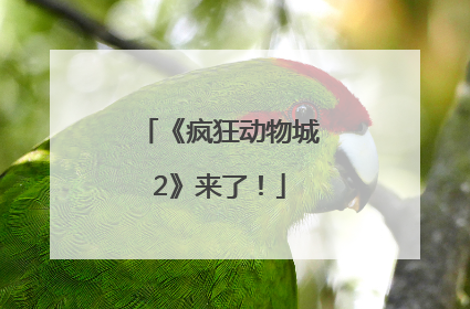 《疯狂动物城2》来了！