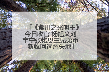 《紫川之光明王》今日收官 杨旭文刘宇宁张铭恩三兄弟重新收回远州失地