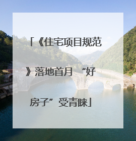 《住宅项目规范》落地首月 “好房子”受青睐