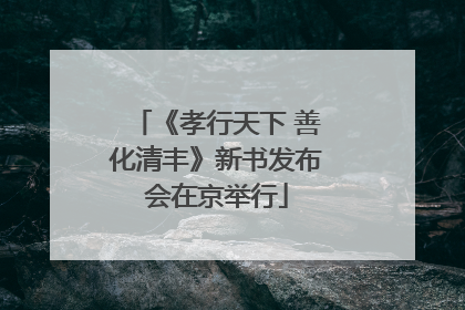 《孝行天下 善化清丰》新书发布会在京举行