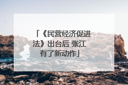 《民营经济促进法》出台后 张江有了新动作