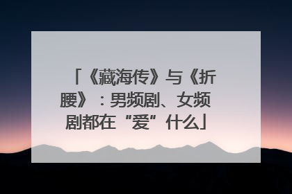 《藏海传》与《折腰》：男频剧、女频剧都在“爱”什么