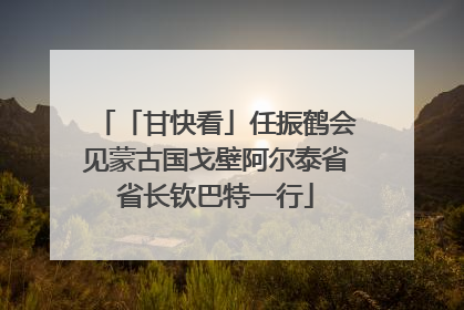 「甘快看」任振鹤会见蒙古国戈壁阿尔泰省省长钦巴特一行