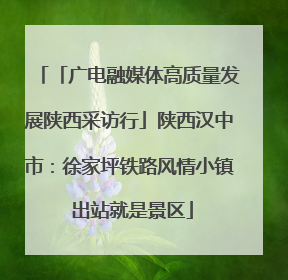 「广电融媒体高质量发展陕西采访行」陕西汉中市：徐家坪铁路风情小镇 出站就是景区