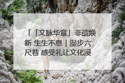 「文脉华章」非遗焕新 生生不息｜漫步六尺巷 感受礼让文化浸润的“巷”往生活