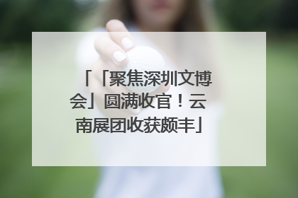 「聚焦深圳文博会」圆满收官！云南展团收获颇丰