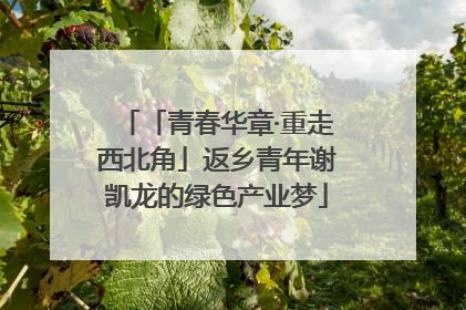 「青春华章·重走西北角」返乡青年谢凯龙的绿色产业梦