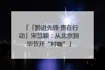 「黔进先锋·贵在行动」宋慧颖：从北京到毕节开“村咖”