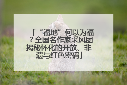 “福地”何以为福？全国名作家采风团揭秘怀化的开放、非遗与红色密码