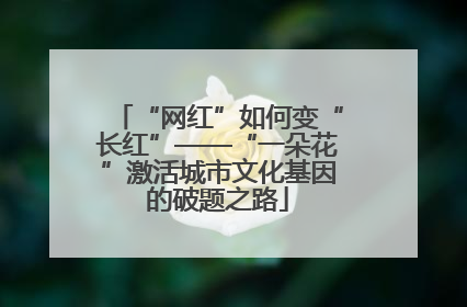 “网红”如何变“长红”——“一朵花”激活城市文化基因的破题之路