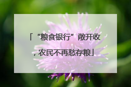 “粮食银行”敞开收，农民不再愁存粮