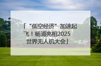 “低空经济”加速起飞！杨浦亮相2025世界无人机大会