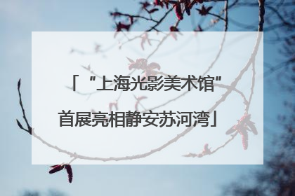 “上海光影美术馆”首展亮相静安苏河湾