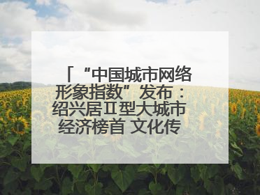“中国城市网络形象指数”发布：绍兴居Ⅱ型大城市经济榜首 文化传播独具特色