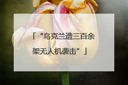 “乌克兰遭三百余架无人机袭击”