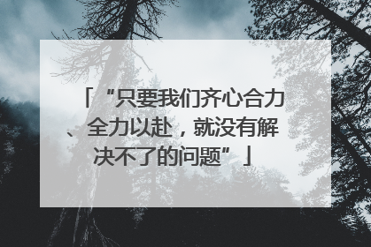 “只要我们齐心合力、全力以赴，就没有解决不了的问题”