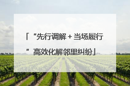 “先行调解＋当场履行”高效化解邻里纠纷