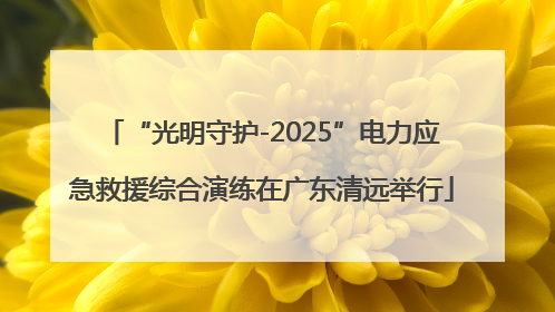 “光明守护-2025”电力应急救援综合演练在广东清远举行