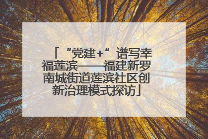“党建+”谱写幸福莲滨——福建新罗南城街道莲滨社区创新治理模式探访