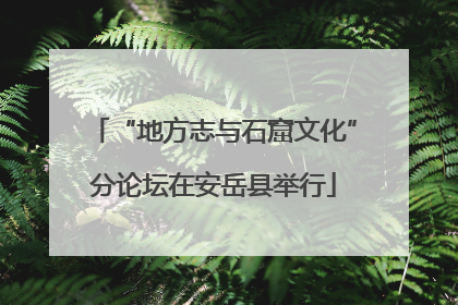“地方志与石窟文化”分论坛在安岳县举行