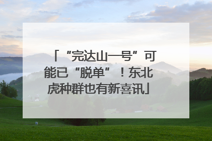“完达山一号”可能已“脱单”！东北虎种群也有新喜讯