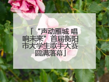 “声动雁城 唱响未来”首届衡阳市大学生歌手大赛圆满落幕