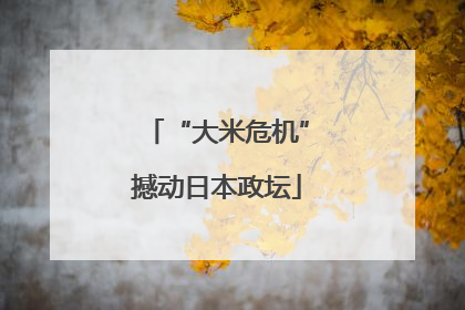 “大米危机”撼动日本政坛