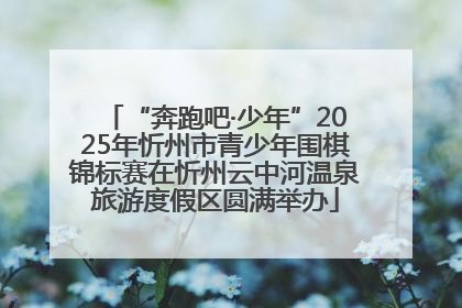 “奔跑吧·少年”2025年忻州市青少年围棋锦标赛在忻州云中河温泉旅游度假区圆满举办