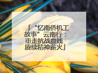 “忆南侨机工故事”云南行：重走抗战血线 赓续精神薪火