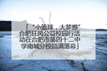 “小篮球，大梦想”合肥狂风公益校园行活动在合肥市第四十二中学南城分校圆满落幕
