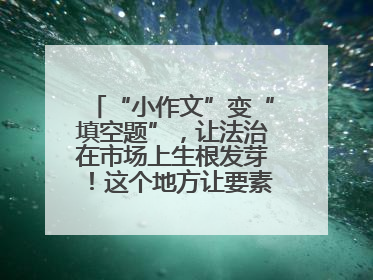 “小作文”变“填空题”，让法治在市场上生根发芽！这个地方让要素式文书入民心
