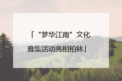 “梦华江南”文化雅集活动亮相柏林