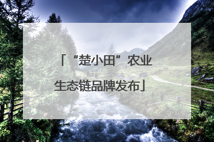 “楚小田”农业生态链品牌发布