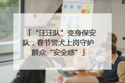 “汪汪队”变身保安队，春节警犬上岗守护群众“安全感”