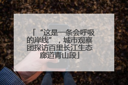“这是一条会呼吸的岸线”，城市观察团探访百里长江生态廊道青山段