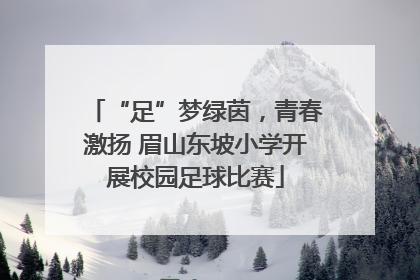 “足”梦绿茵，青春激扬 眉山东坡小学开展校园足球比赛