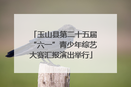 玉山县第二十五届“六一”青少年综艺大赛汇报演出举行
