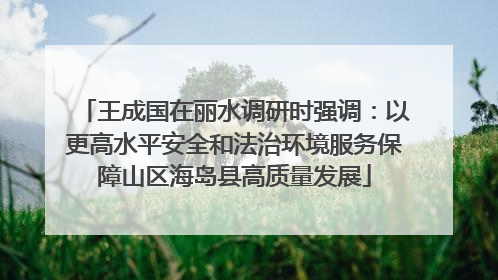 王成国在丽水调研时强调：以更高水平安全和法治环境服务保障山区海岛县高质量发展
