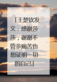 王楚钦发文：感谢莎莎，谢谢不管多痛苦也想证明一切的自己