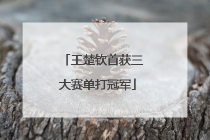 王楚钦首获三大赛单打冠军