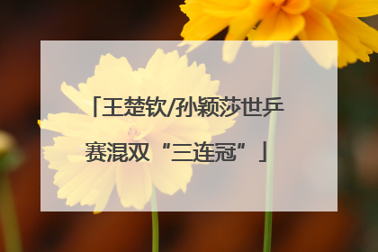 王楚钦/孙颖莎世乒赛混双“三连冠”