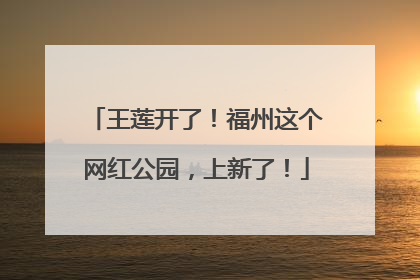 王莲开了！福州这个网红公园，上新了！