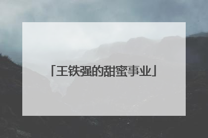 王铁强的甜蜜事业