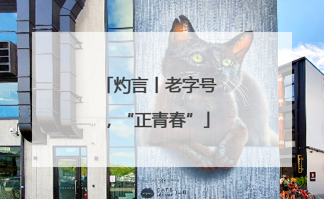 灼言丨老字号，“正青春”