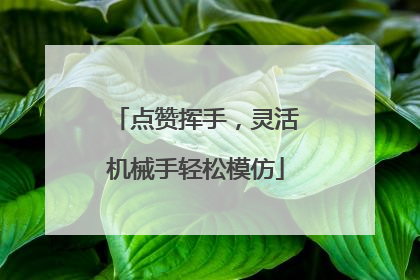 点赞挥手，灵活机械手轻松模仿