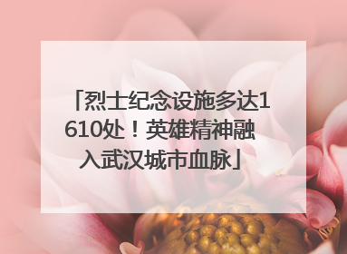 烈士纪念设施多达1610处！英雄精神融入武汉城市血脉