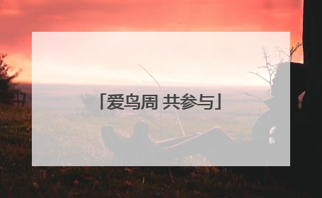 爱鸟周 共参与
