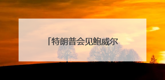 特朗普会见鲍威尔 敦促美联储降息