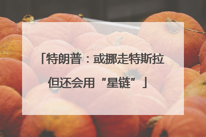 特朗普：或挪走特斯拉 但还会用“星链”