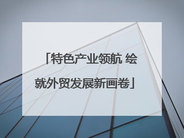 特色产业领航 绘就外贸发展新画卷